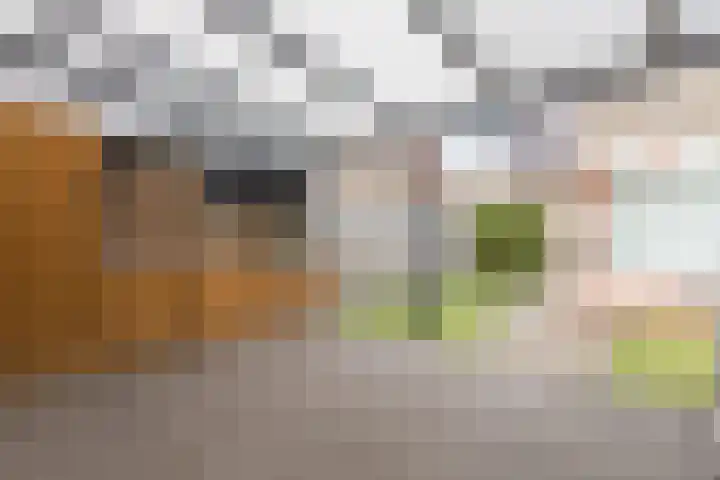 Achterhuizensticht 6 Dongen thumbnail 20