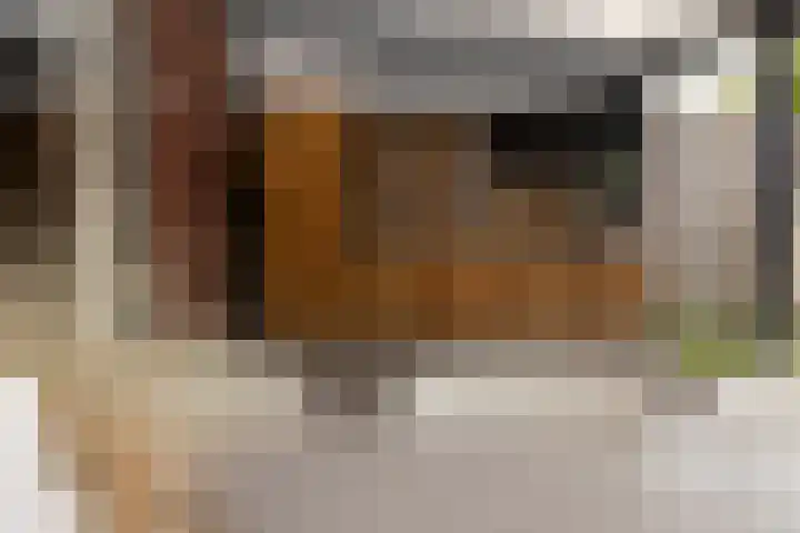 Achterhuizensticht 6 Dongen thumbnail 21