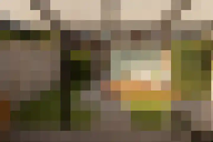 Achterhuizensticht 6 Dongen thumbnail 23