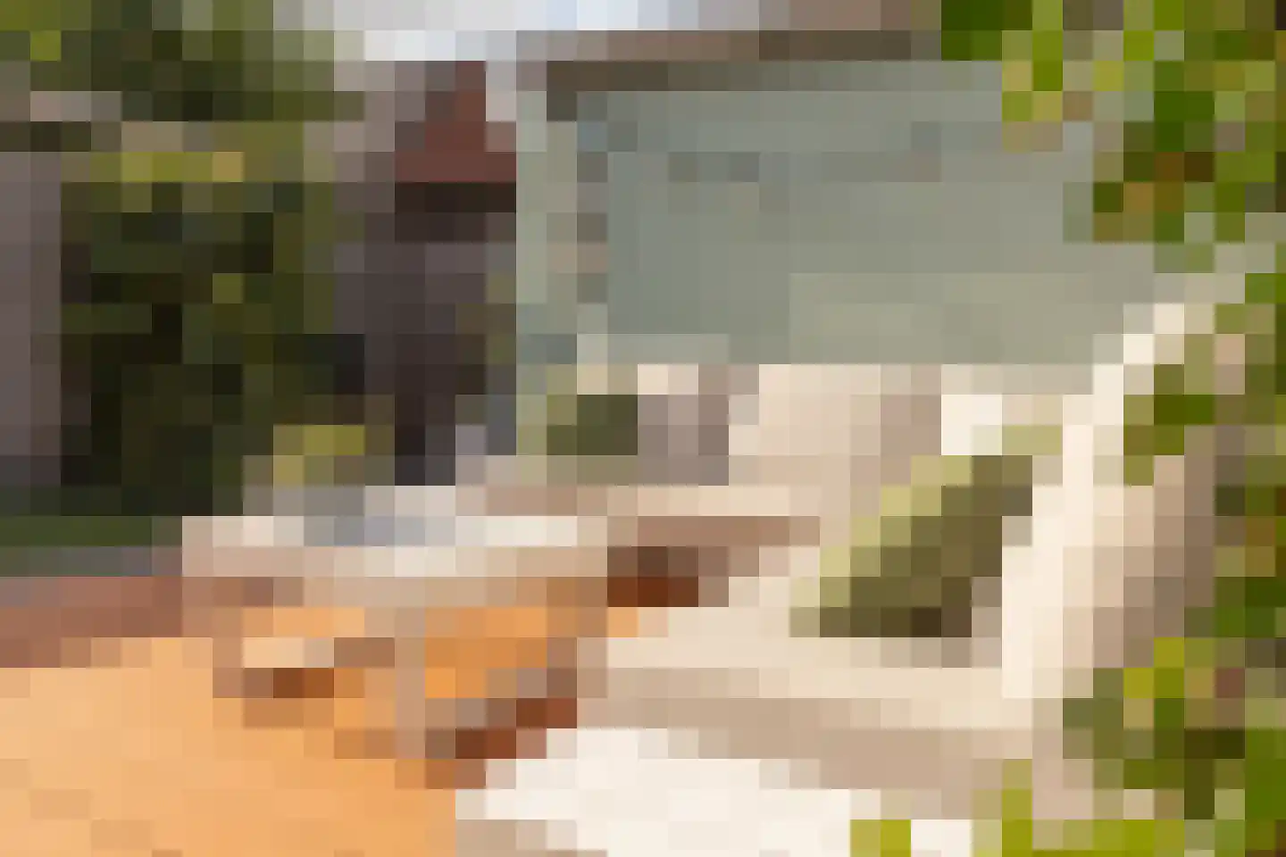 Achterhuizensticht 6 Dongen thumbnail 24