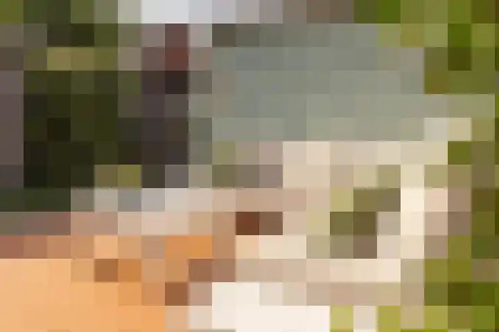 Achterhuizensticht 6 Dongen thumbnail 24