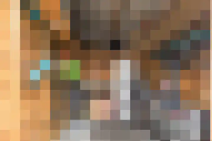 Achterhuizensticht 6 Dongen thumbnail 27