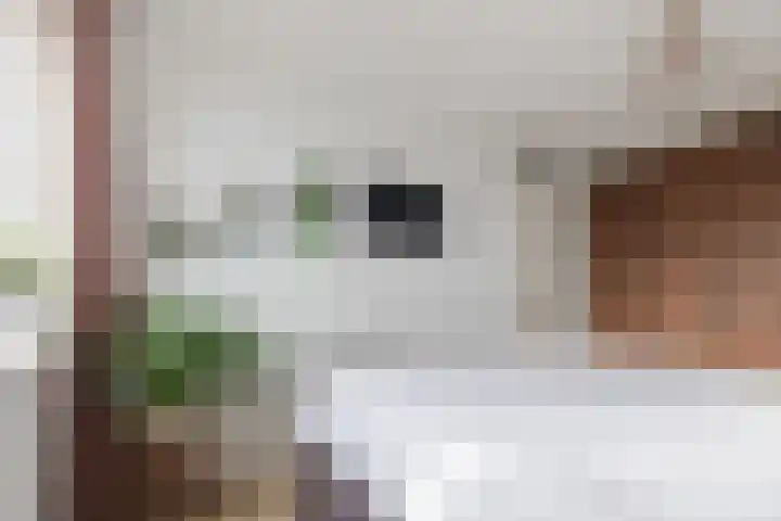 Achterhuizensticht 6 Dongen thumbnail 32