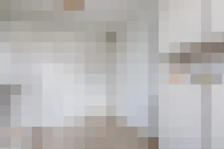 Achterhuizensticht 6 Dongen thumbnail 36
