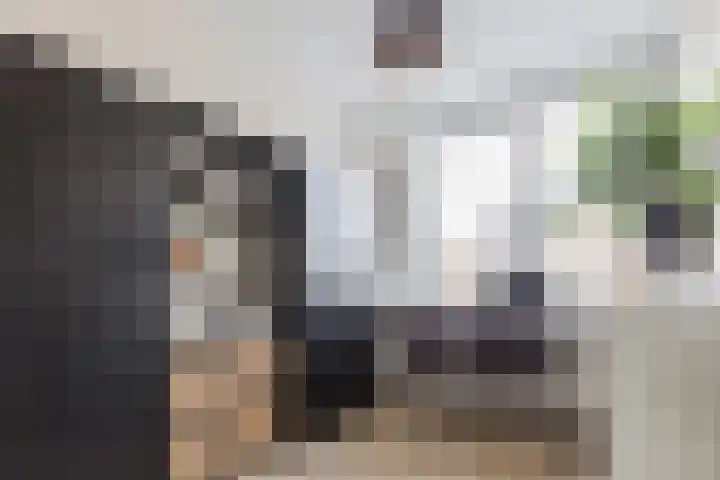 Achterhuizensticht 6 Dongen thumbnail 37