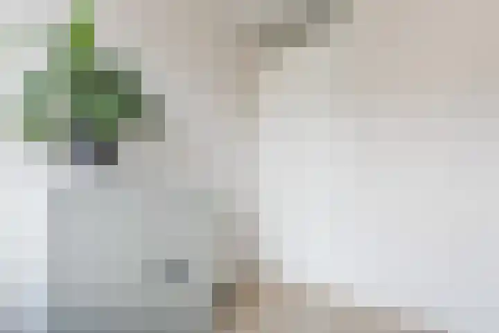 Achterhuizensticht 6 Dongen thumbnail 39