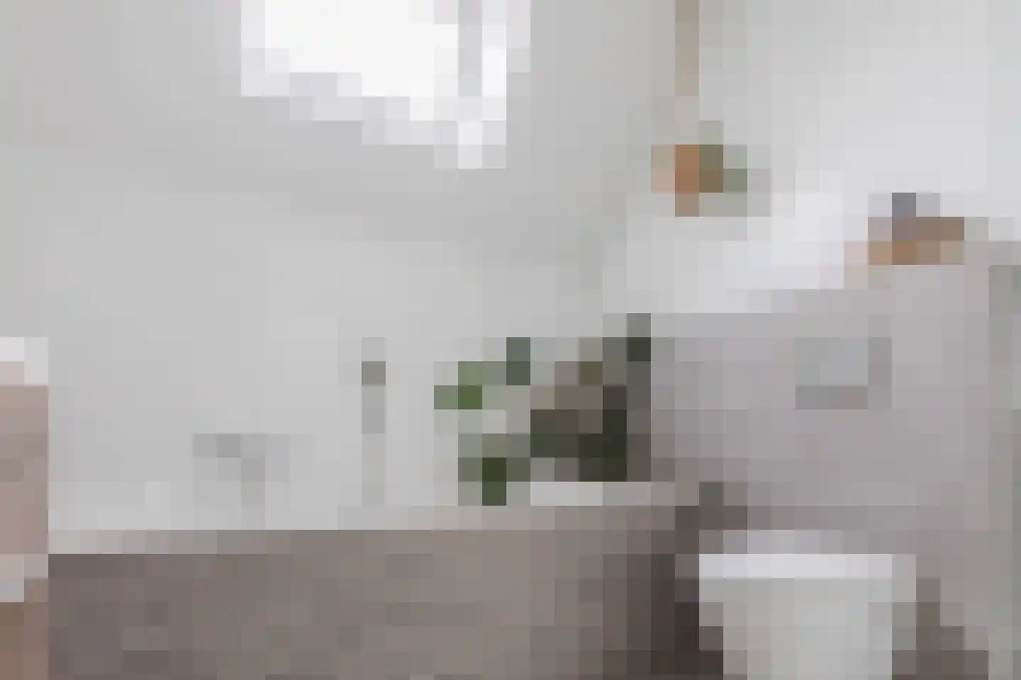 Achterhuizensticht 6 Dongen thumbnail 40