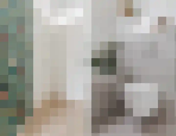 Achterhuizensticht 6 Dongen thumbnail 42
