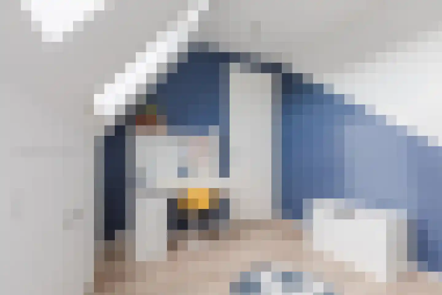 Achterhuizensticht 6 Dongen thumbnail 47