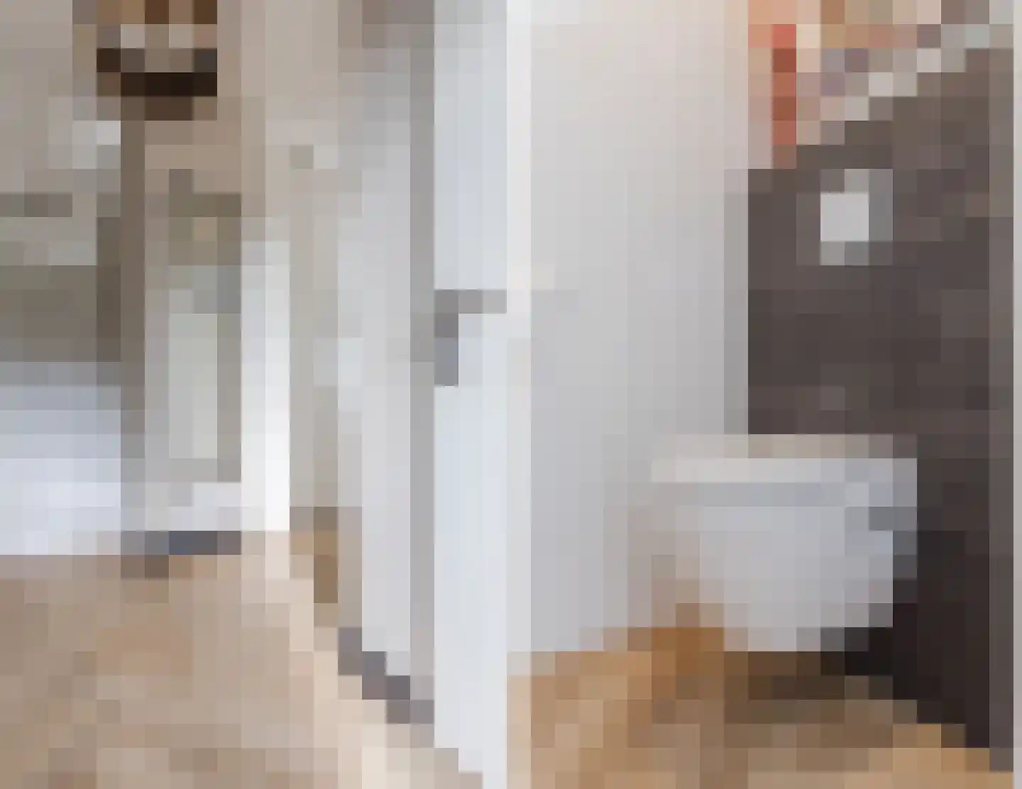 Achterhuizensticht 6 Dongen thumbnail 5