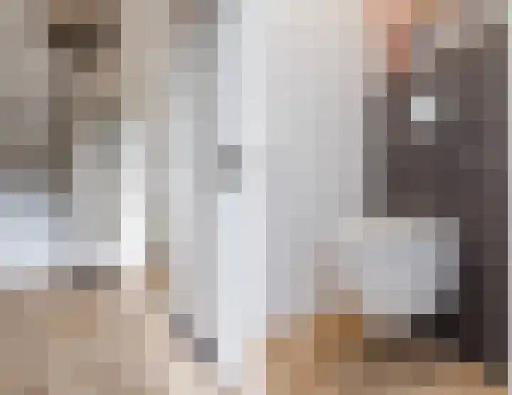 Achterhuizensticht 6 Dongen thumbnail 5