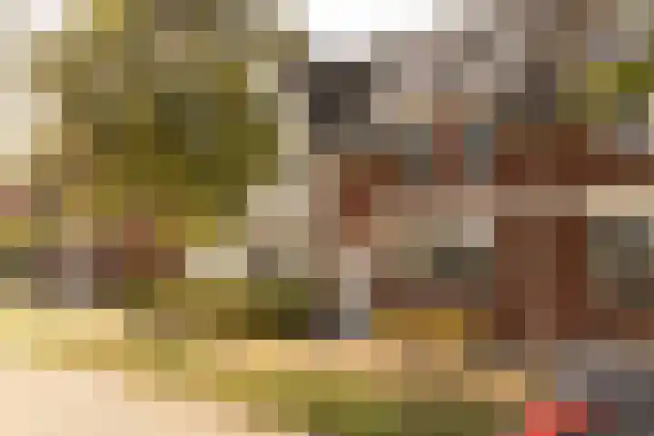 Achterhuizensticht 6 Dongen thumbnail 53