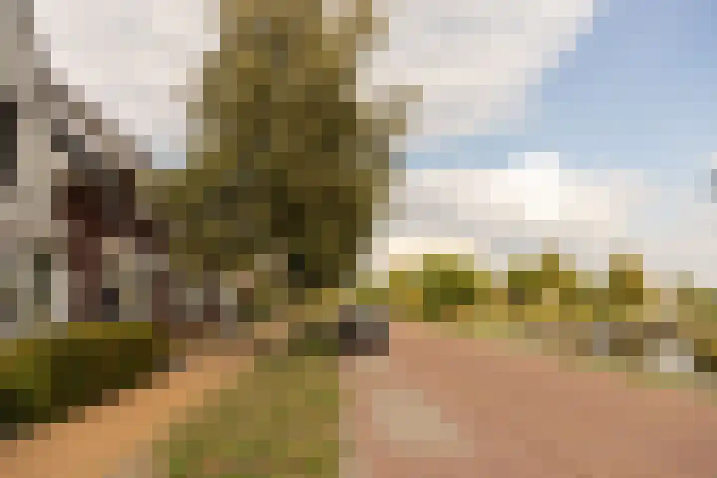 Achterhuizensticht 6 Dongen thumbnail 54