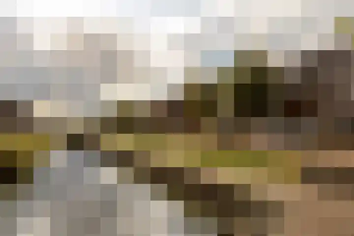Achterhuizensticht 6 Dongen thumbnail 56