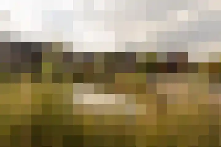 Achterhuizensticht 6 Dongen thumbnail 57