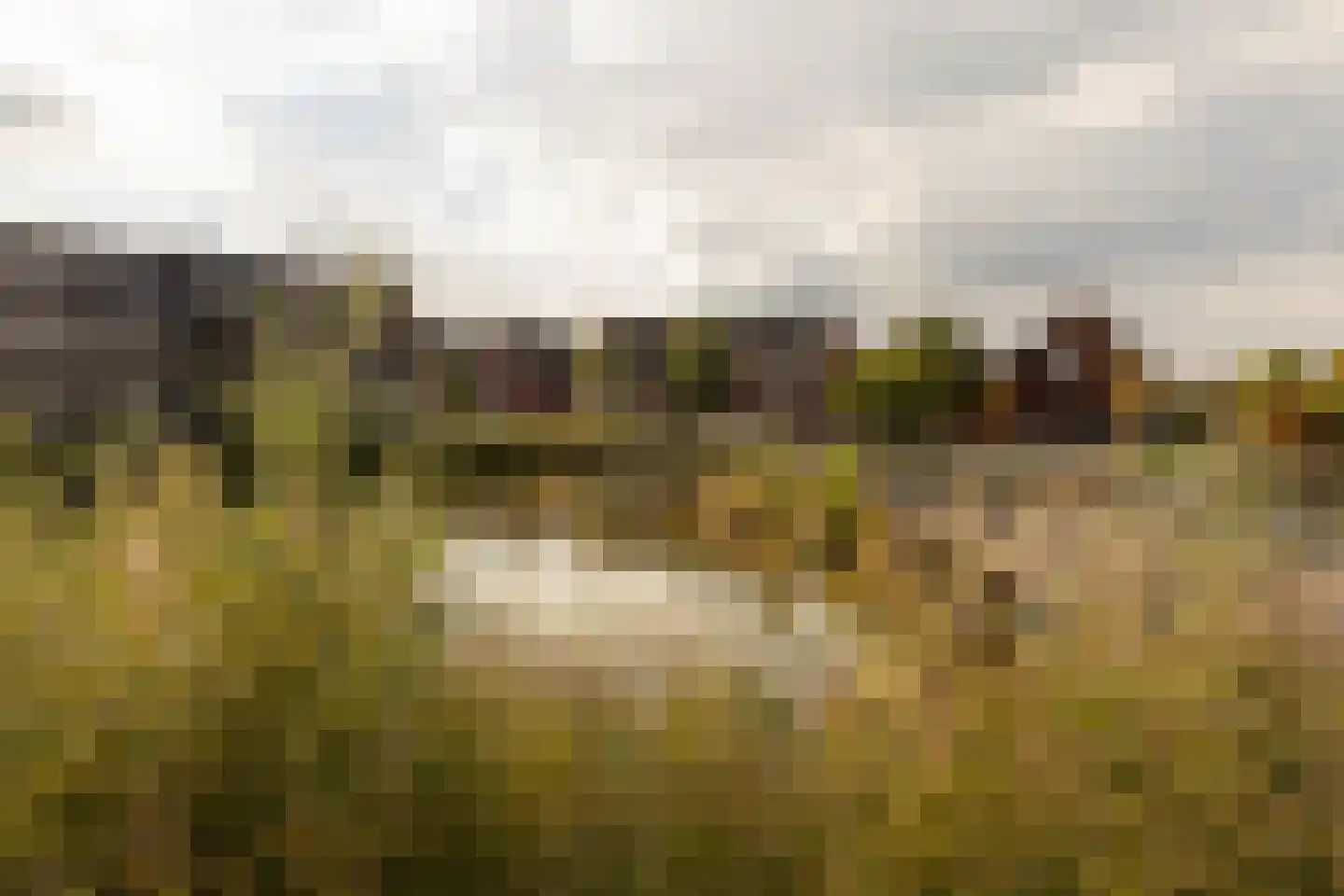 Achterhuizensticht 6 Dongen thumbnail 56
