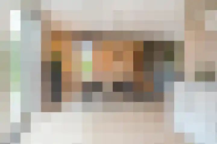 Achterhuizensticht 74 Dongen thumbnail 18