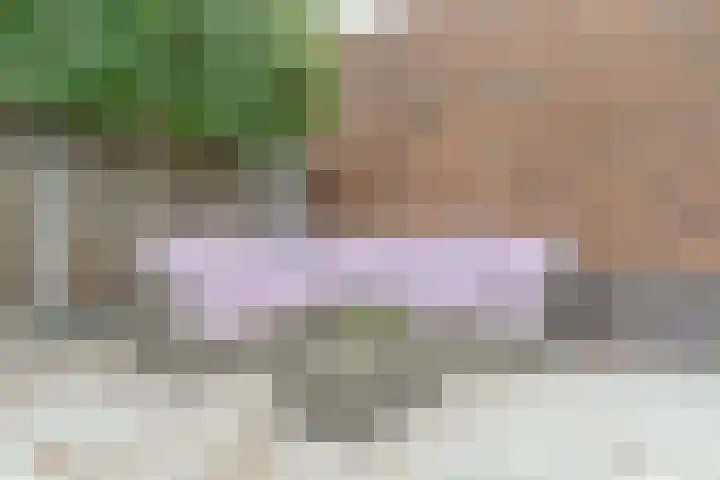 Achterhuizensticht 74 Dongen thumbnail 22