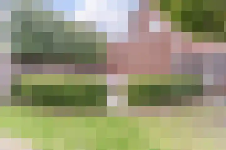 Achterhuizensticht 74 Dongen thumbnail 23