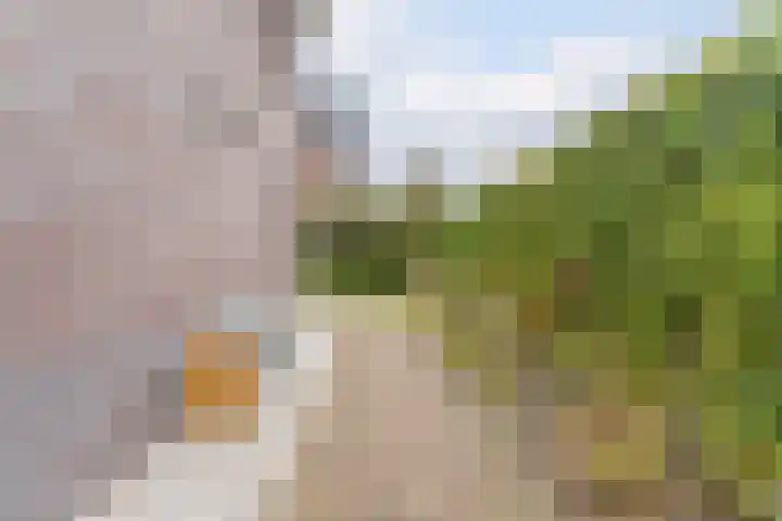 Achterhuizensticht 74 Dongen thumbnail 25
