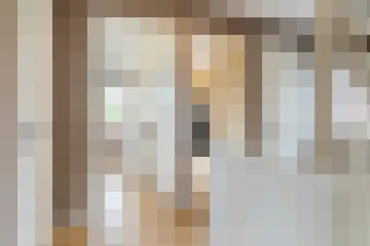 Achterhuizensticht 74 Dongen thumbnail 27