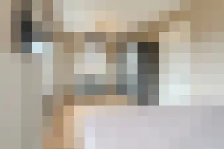 Achterhuizensticht 74 Dongen thumbnail 39