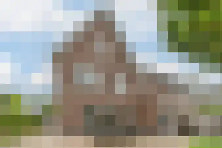 Achterhuizensticht 74 Dongen thumbnail 53