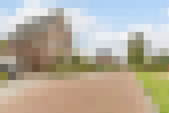 Achterhuizensticht 74 Dongen thumbnail 57