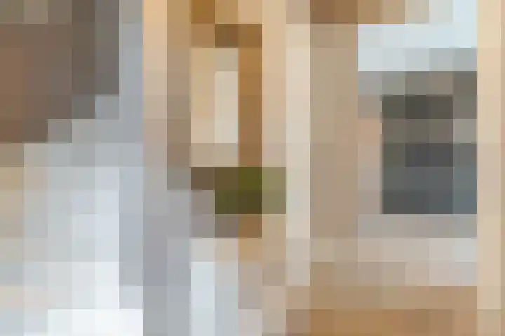 Achterhuizensticht 74 Dongen thumbnail 6