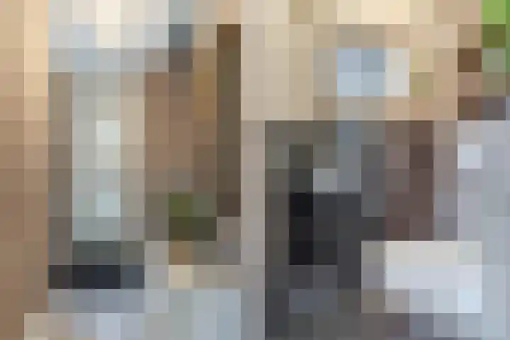 Achterhuizensticht 74 Dongen thumbnail 7