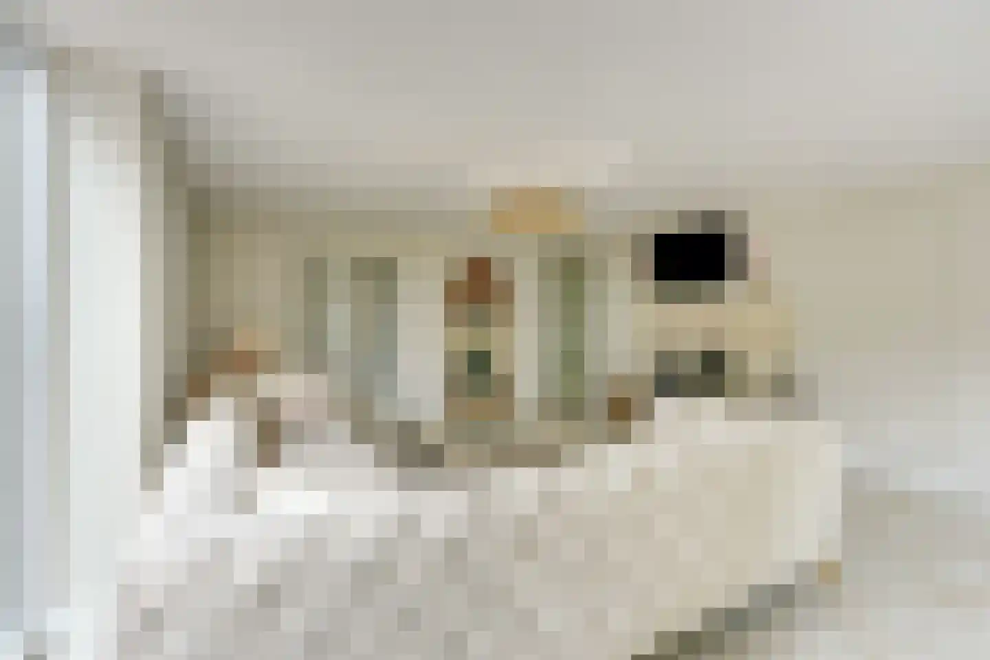 Achterkade 13 Vianen thumbnail 12