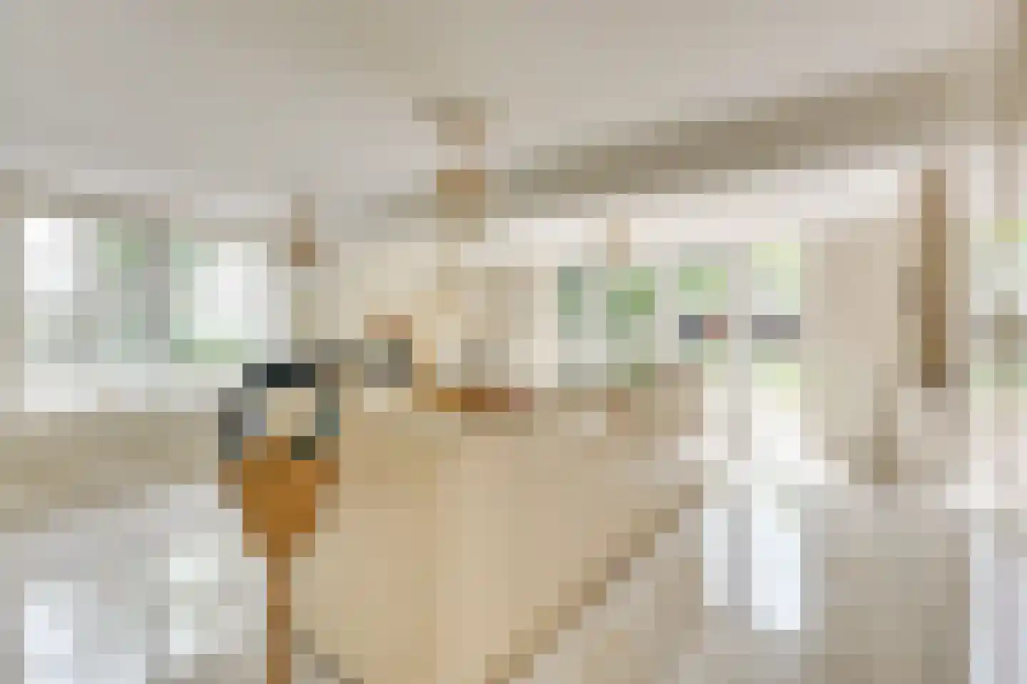 Achterkade 13 Vianen thumbnail 30