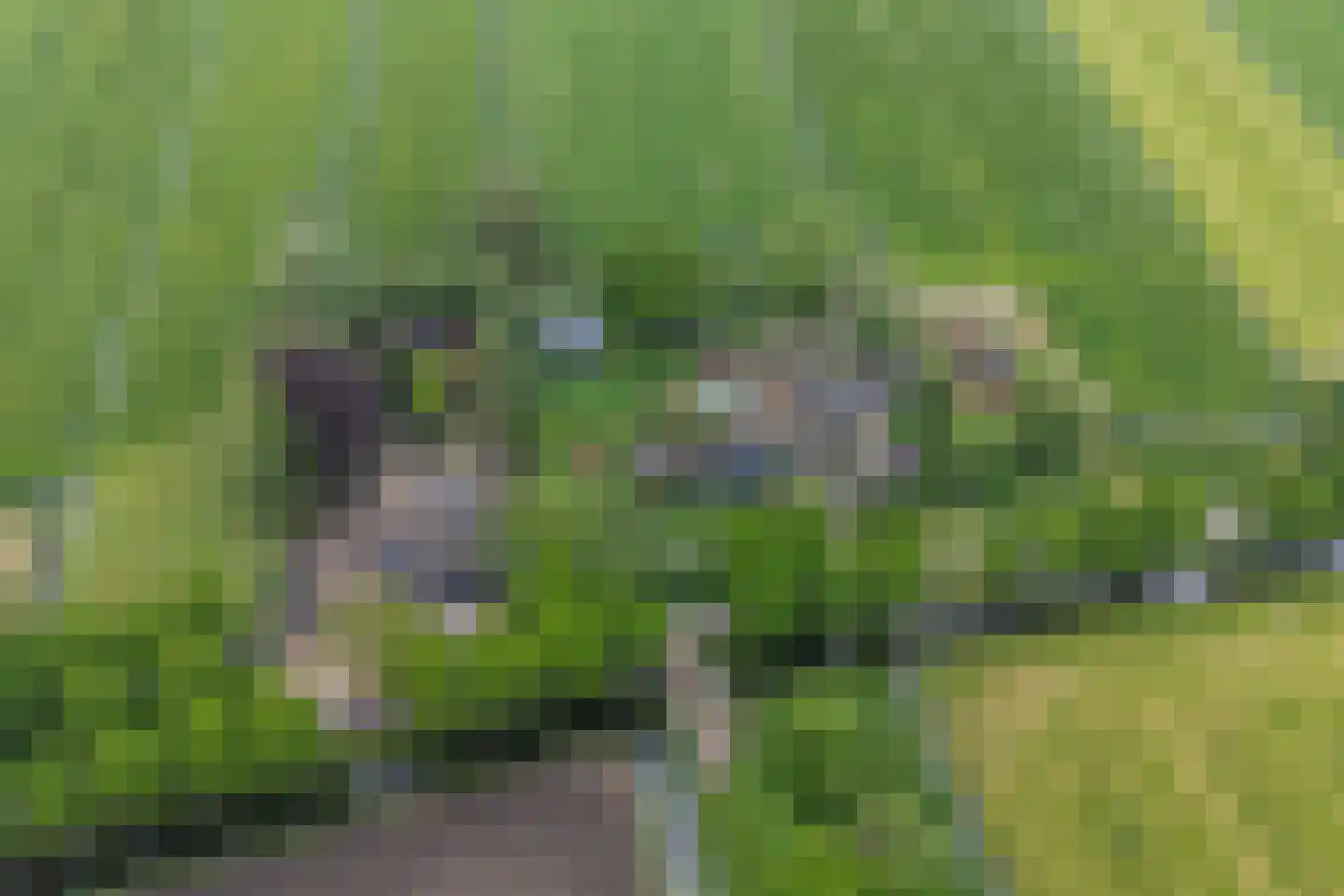 Achterkade 13 Vianen thumbnail 62