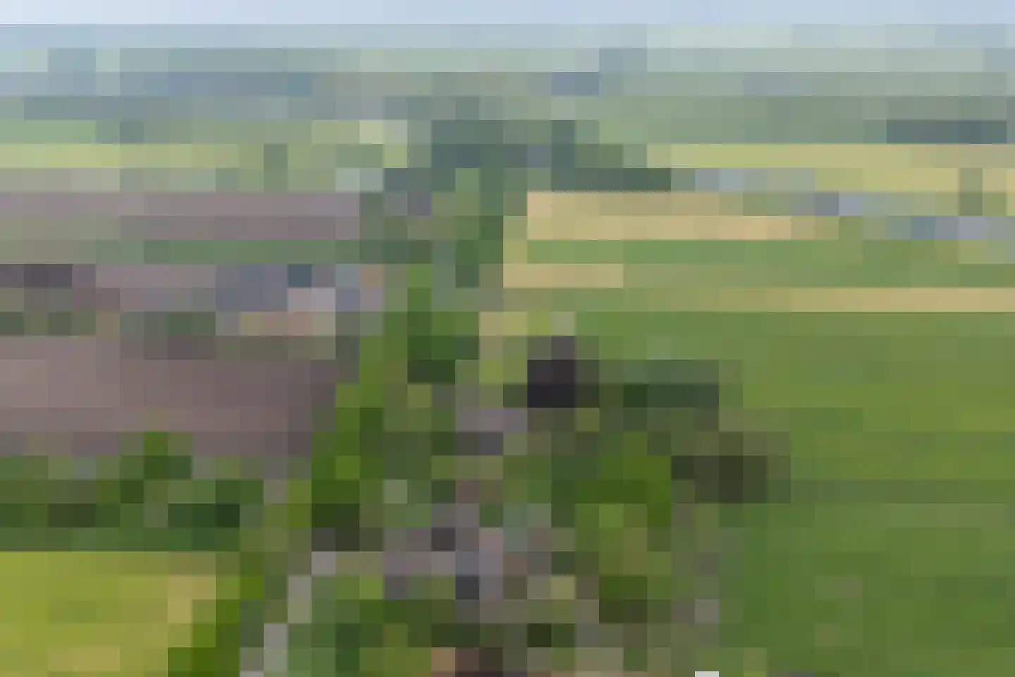 Achterkade 13 Vianen thumbnail 64