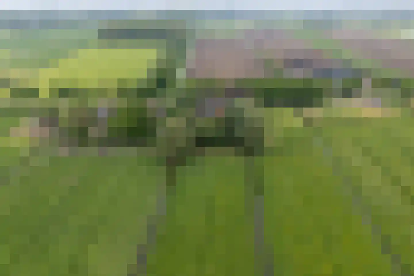 Achterkade 13 Vianen thumbnail 65