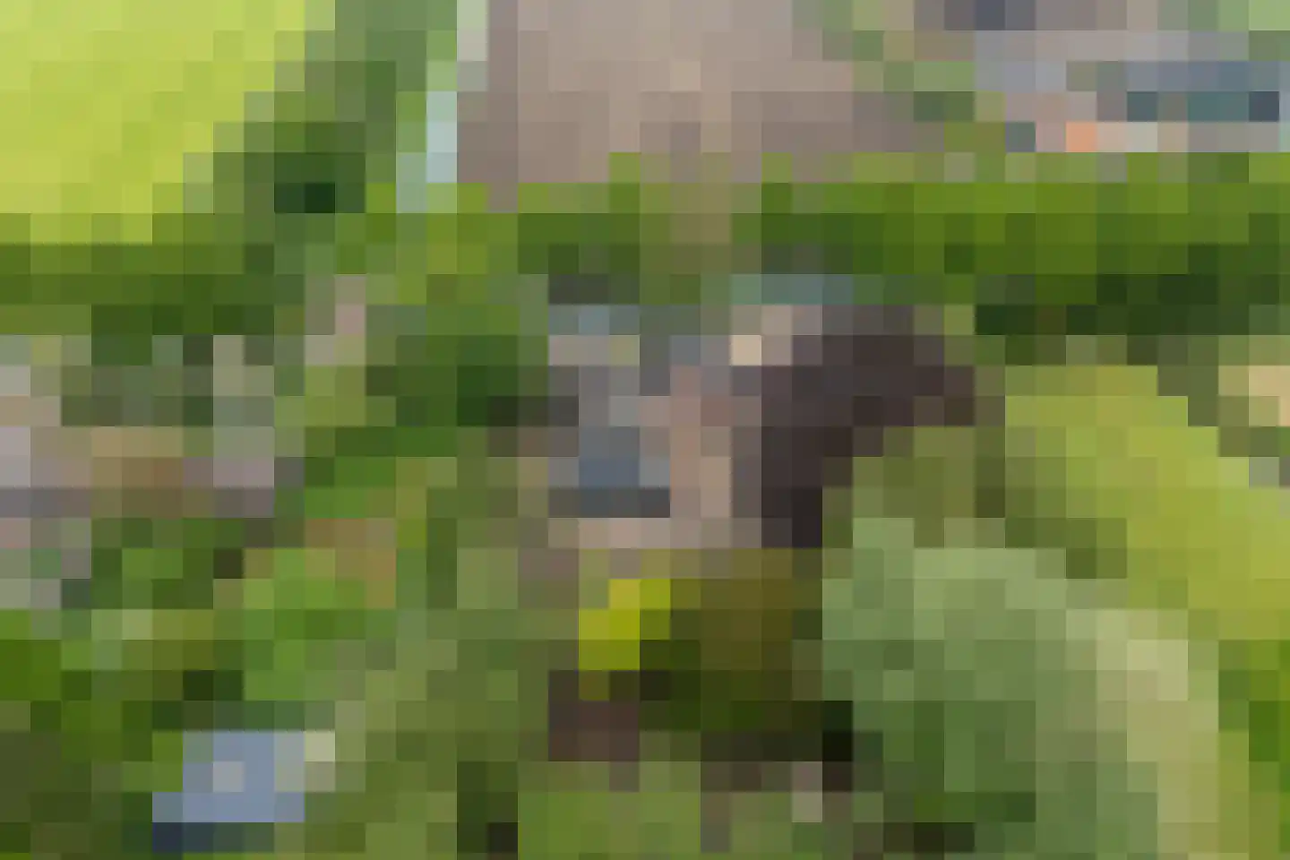 Achterkade 13 Vianen thumbnail 66