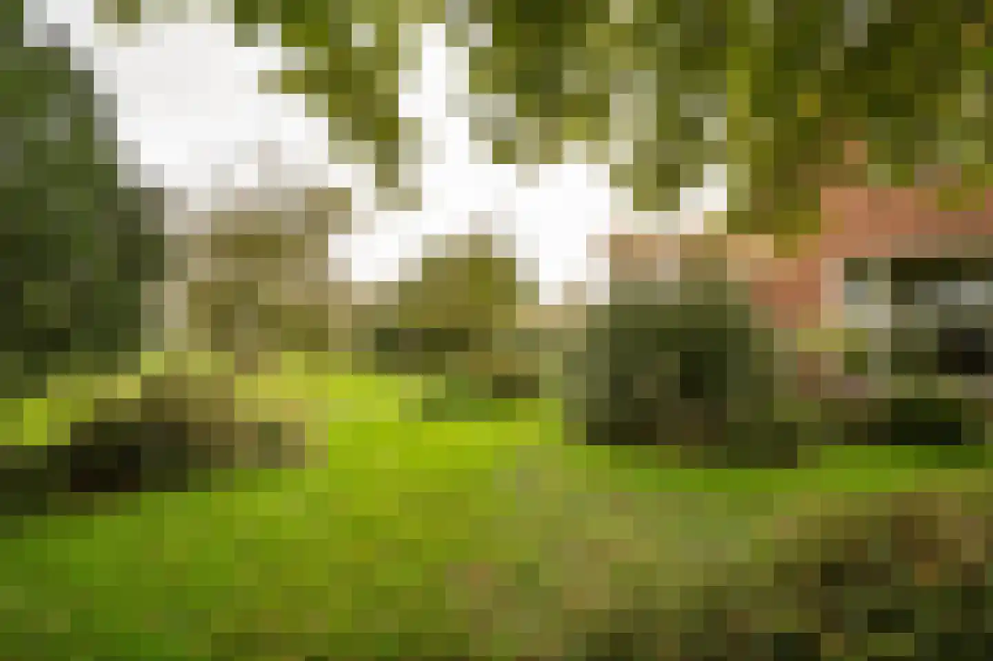 Achterkade 5 Vianen thumbnail 10