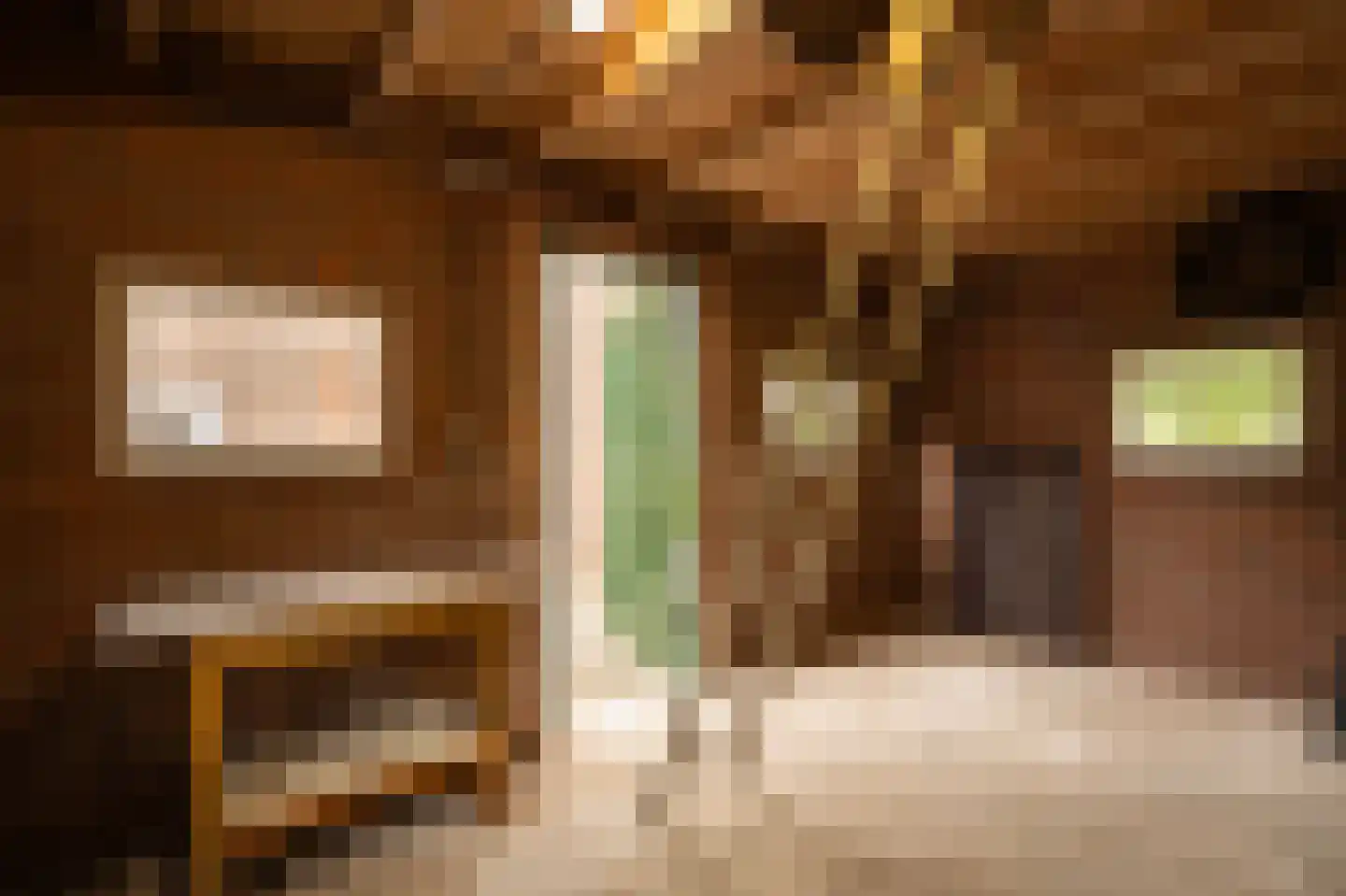 Achterkade 5 Vianen thumbnail 101