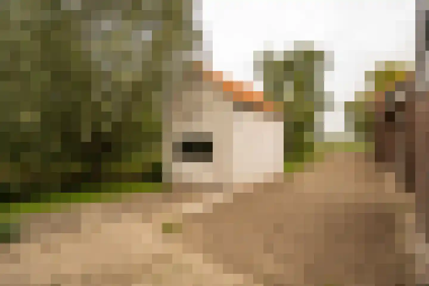 Achterkade 5 Vianen thumbnail 105