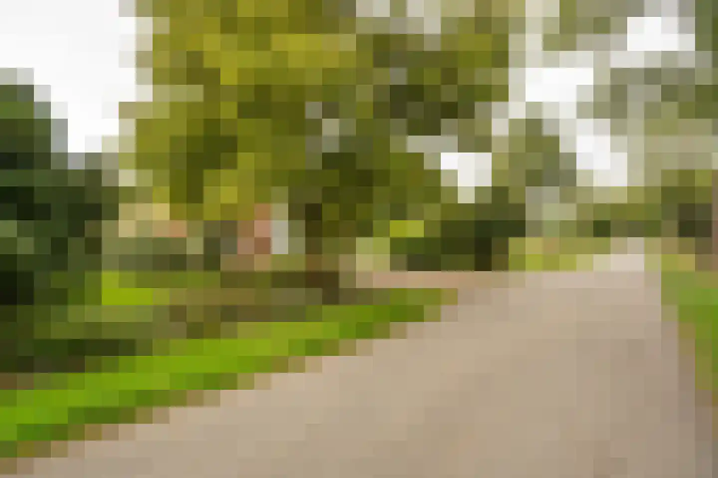 Achterkade 5 Vianen thumbnail 109