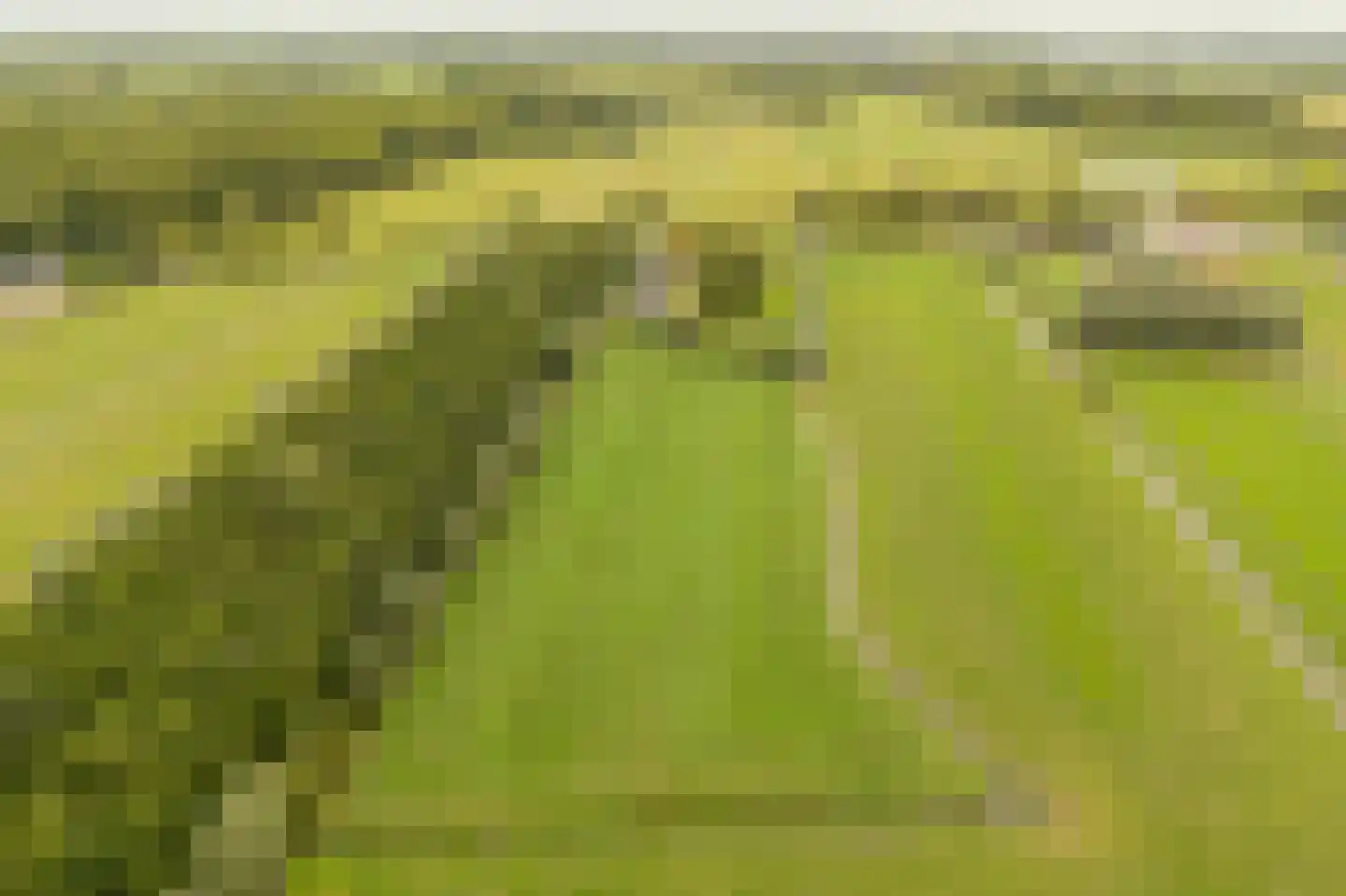 Achterkade 5 Vianen thumbnail 112