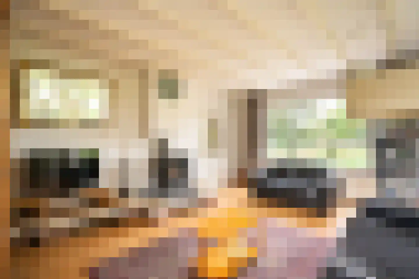 Achterkade 5 Vianen thumbnail 14
