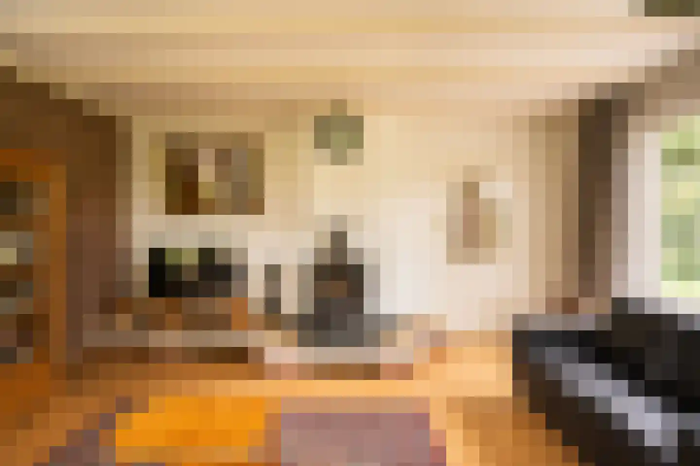 Achterkade 5 Vianen thumbnail 15