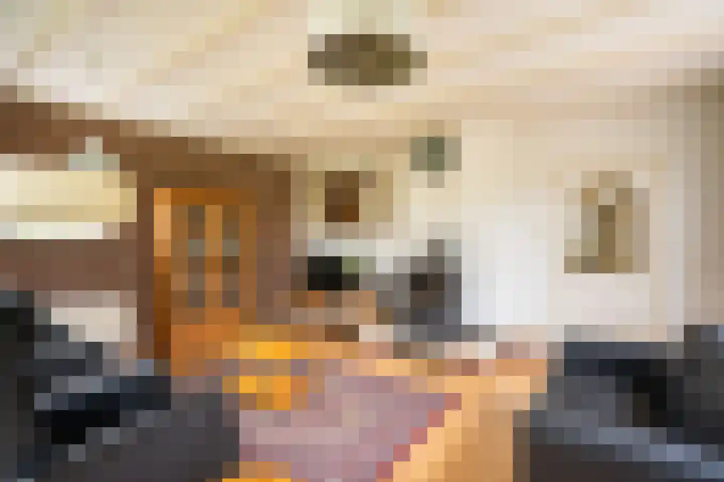 Achterkade 5 Vianen thumbnail 18