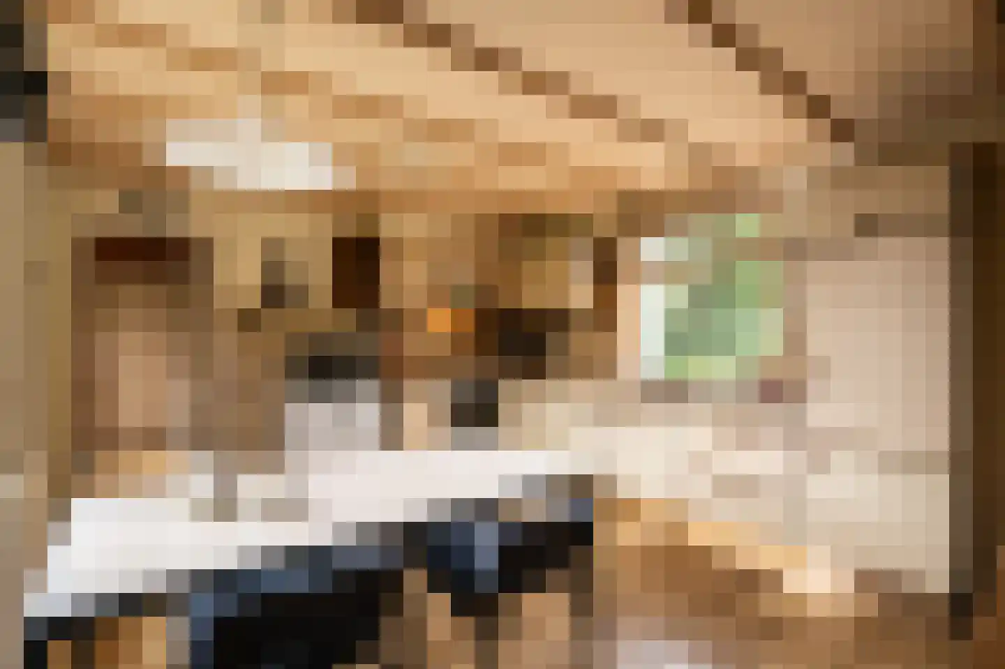 Achterkade 5 Vianen thumbnail 21