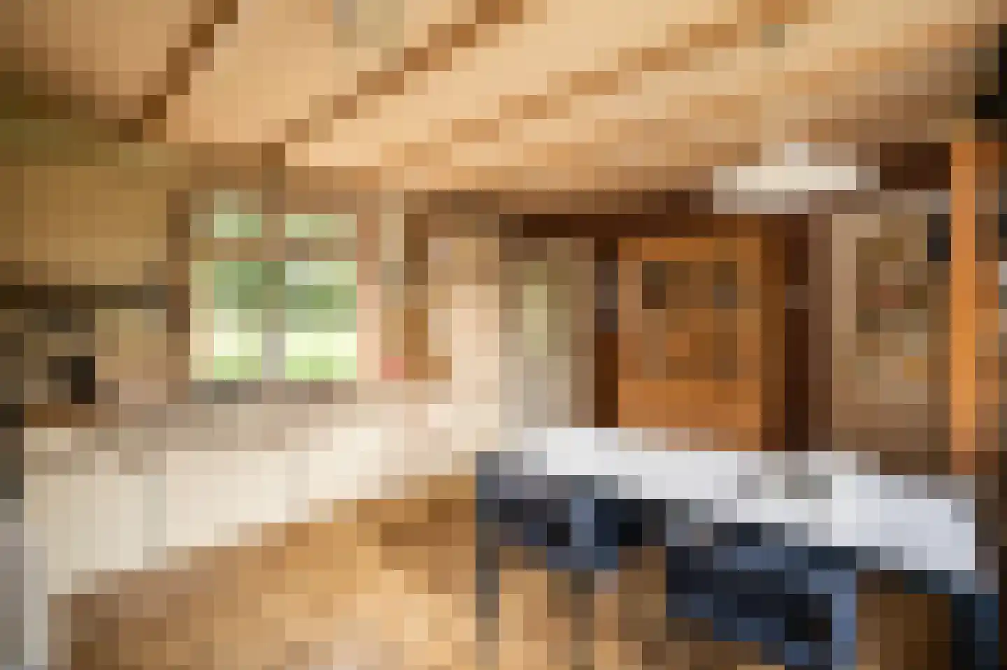 Achterkade 5 Vianen thumbnail 22