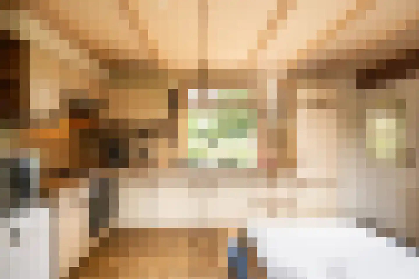 Achterkade 5 Vianen thumbnail 25