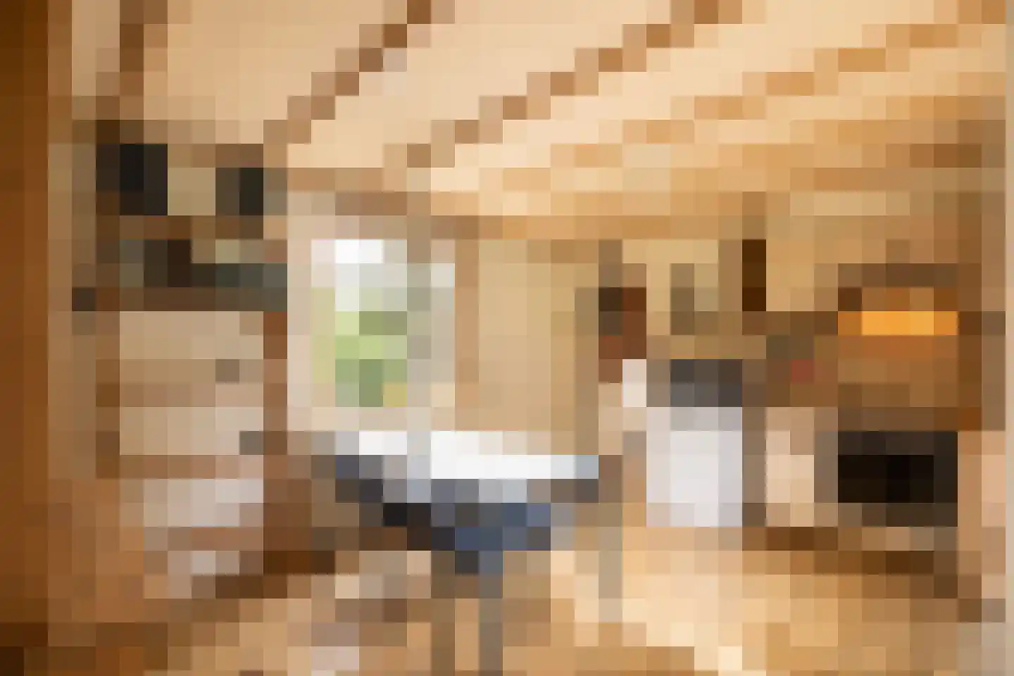 Achterkade 5 Vianen thumbnail 26