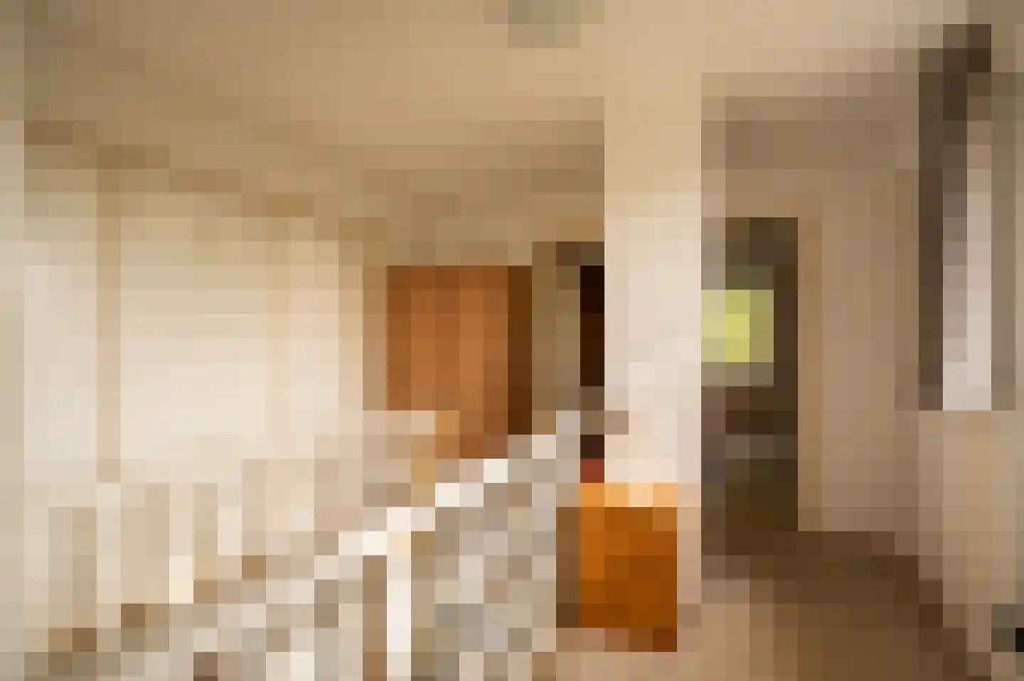 Achterkade 5 Vianen thumbnail 33