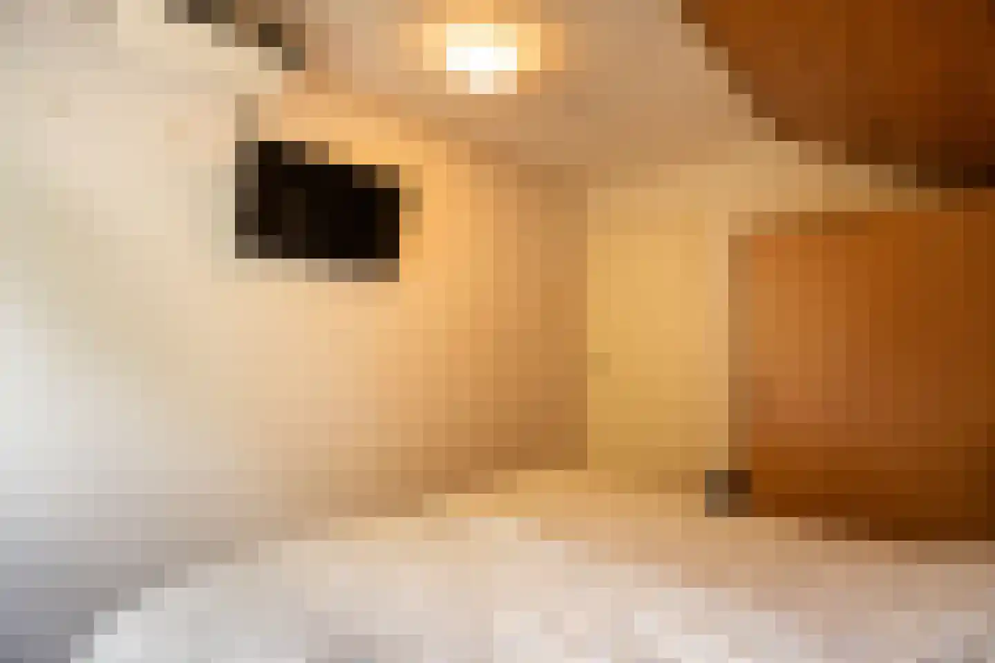 Achterkade 5 Vianen thumbnail 35